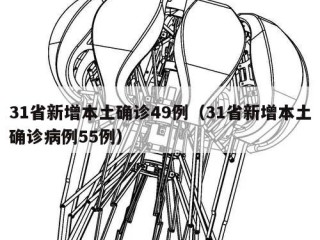 31省新增本土确诊49例（31省新增本土确诊病例55例）