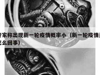 专家称出现新一轮疫情概率小（新一轮疫情是怎么回事）