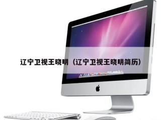 辽宁卫视王晓明（辽宁卫视王晓明简历）