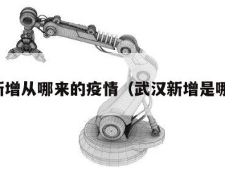 武汉新增从哪来的疫情（武汉新增是哪里的）