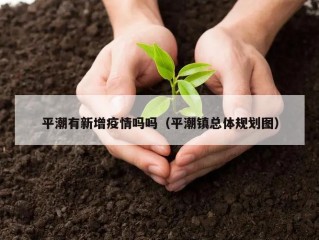 平潮有新增疫情吗吗（平潮镇总体规划图）