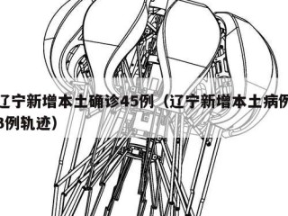 辽宁新增本土确诊45例（辽宁新增本土病例3例轨迹）